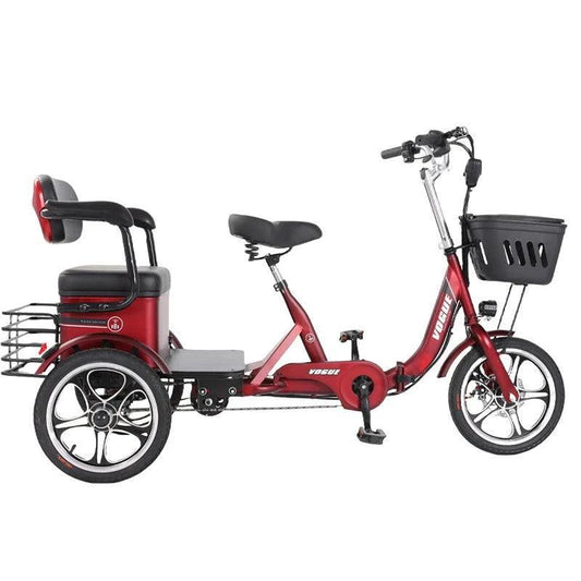 3 Wheeler Electric Tricycle Passenger 400W 48V 20AH E-Bike Transporter (35 km/h) - Franklyn & Page E-Bike Emporium