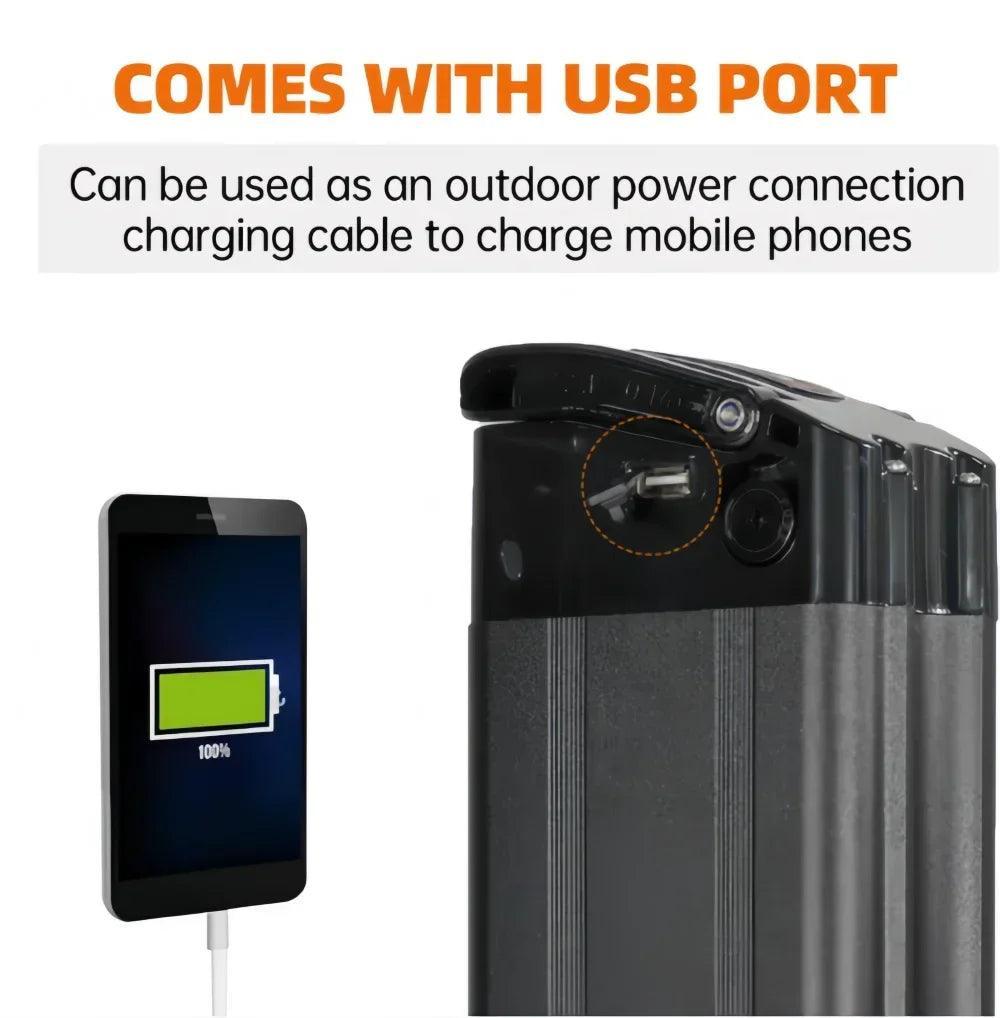 Original 36V 48V 15ah 25ah 30ah 40Ah silverfish battery Lithium-ion battery Certified - Franklyn & Page Emporium