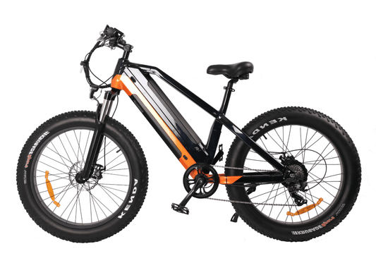 *NEW 2025* 1000w 1500w 48v 20ah Electric Mountain Bike e-MTB Cupra Zooz Hai Ebike 45-60 km/h