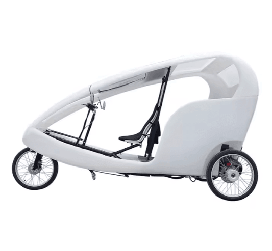 New 1000W Motor 3 Wheel Electric Bike 2 Passenger Bicycle Pedicab