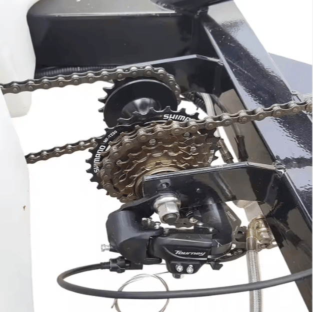 New 1000W Motor 3 Wheel Electric Bike 2 Passenger Bicycle Pedicab