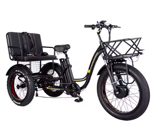 New 24" Fat Tire 3-Wheel Electric Family Cargo Tricycle – 48V 750W 21Ah | 50KM/H |