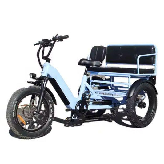 3 Wheel Electric Tricycle Front Drive 24inch Family Cargo Bike Adult Fat Tire Trike 500W 2 Person E Trike (40 km/h)