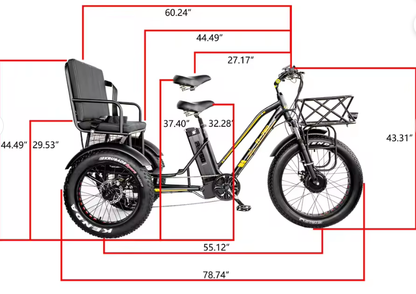 New 24" Fat Tire 3-Wheel Electric Family Cargo Tricycle – 48V 750W 21Ah | 50KM/H |