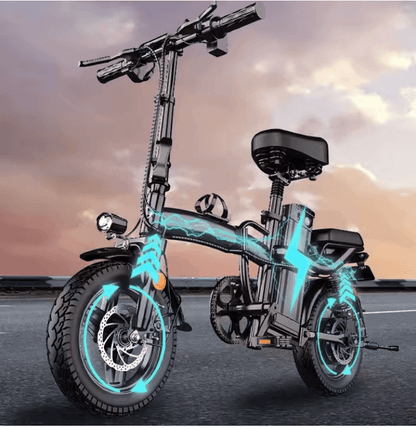 14" Folding Electric Bicycle 48V 400W 10Ah 16ah 24ah 25Ah Foldable EBike