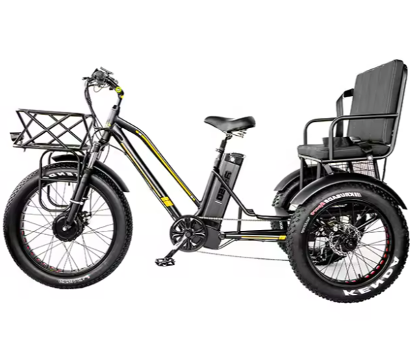 New 24" Fat Tire 3-Wheel Electric Family Cargo Tricycle – 48V 750W 21Ah | 50KM/H |